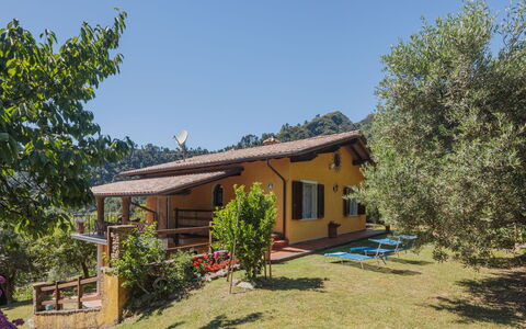 Luca: Planta, Cielo, Edificio, Ventana, Planta De La Comunidad, Casa, Árbol, El Terreno Del Lote, Sombra, Paisaje Natural