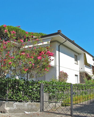 Dei Fiori
