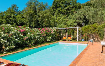 Iacopo - Montecatini-Terme, Toscana, Italia