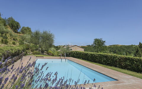 Amos: Agua, Planta, Cielo, Piscina, Naturaleza, Azur, Paisaje Natural, Árbol, Vegetación, El Terreno Del Lote