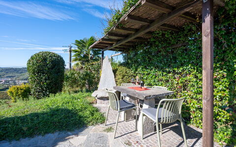 Cossombrato 607: Arbusto, Jardín, Mueble Para Exteriores, Sombra, Mesa Al Aire Libre, Paisajismo, Silla, Eco Hotel, Patio Interior, Planta De Casa