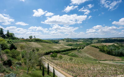 Alojamiento:&nbsp;Agriturismo Colle di San Michele 604.2