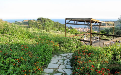 San Lorenzo al Mare 639: Flor, Cielo, Planta, Planta De La Comunidad, Paisaje Natural, El Terreno Del Lote, Árbol, Mueble Para Exteriores, Hierba, Sombra