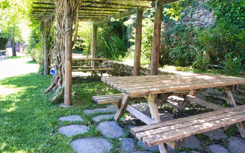 Dolcedo 663: Planta, Mueble, Banco Al Aire Libre, Sombra, Mueble Para Exteriores, Mesa De Picnic, Madera, Vegetación, Árbol, Biome