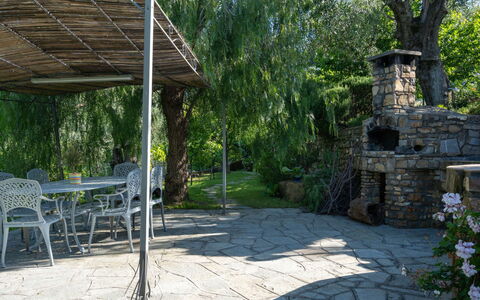 Diano Marina 626: Propiedad, Losa, Yarda, Patio Interior, Botánica, Jardín, Paisajismo, Edificio, Árbol, Casa