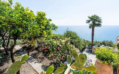 Mare (Flg136) - Finale Ligure, Liguria, Italia