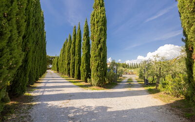 Alojamiento:&nbsp;Podere Tre Termini 609.6