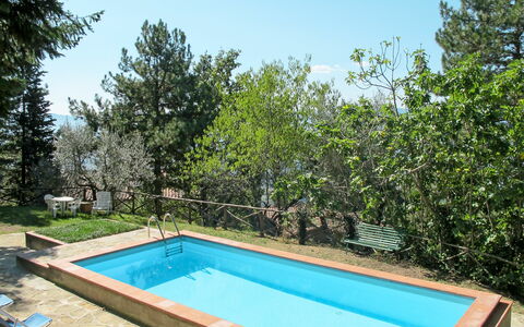 Castelfranco di Sopra 605: Agua, Planta, Cielo, Piscina, Sombra, Árbol, Rectángulo, Ocio, Hierba, Paisaje