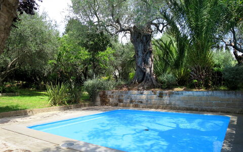 Castiglione della Pescaia 610: Agua, Planta, Propiedad, Naturaleza, Árbol, Sombra, Vegetación, Hierba, Paisaje Natural, Arecales