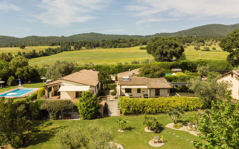 Lago di Bolsena 663: Pradera, El Terreno Del Lote, Área Rural, Inmuebles, Césped, Casa De Campo, Jardín, Prado, Pasto, Plantación