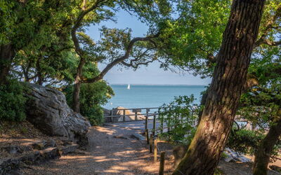 Ile de Noirmoutier 611