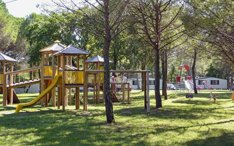 Grado 653: Planta, Árbol, Sombra, Hierba, Patio De Recreo, Ocio, Recreación, Tintes Y Sombras, Ciudad, Casa