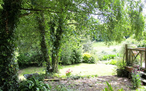 De Beaumont: Planta, Planta De La Comunidad, Paisaje Natural, Sombra, Árbol, El Terreno Del Lote, Corriente De Agua, Hierba, Planta Terrestre, Cobertura Del Suelo