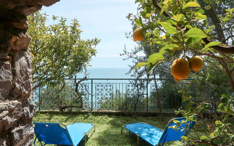 Orizzonte: Cielo, Planta, Naturaleza, Silla, Árbol, Sombra, Biome, Hierba, Mueble Para Exteriores, Paisaje Natural