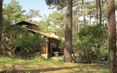 Les Maisons de la Forêt