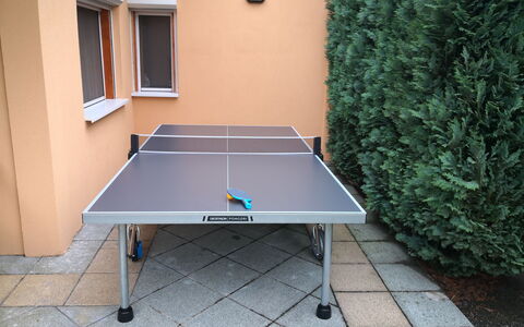 Hajnal: Ping Pong, Propiedad, Deporte De Raqueta, Mesa, Habitación, Mueble, Deportes Individuales, Suelo, Tabla Raqueta De Tenis, Partido De Béisbol
