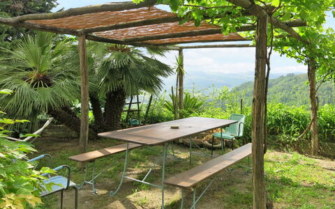 La Rovere: Reserva Natural, Botánica, Pérgola, Mesa, Sombra, Pabellón, Patio Interior, Árbol, Mueble, Casa