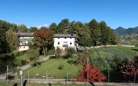 Angeli: Planta, Edificio, Cielo, Paisaje Natural, Árbol, Ventana, Casa, El Terreno Del Lote, Vegetación, Hierba