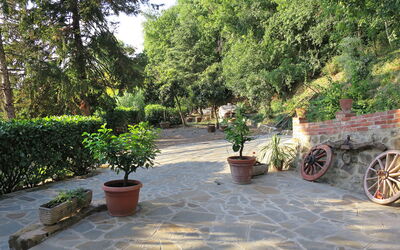 L'Orlo del Bosco
