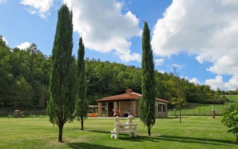 Dilia: Nube, Cielo, Planta, Verde, Árbol, Paisaje Natural, El Terreno Del Lote, Vegetación, Hierba, Edificio