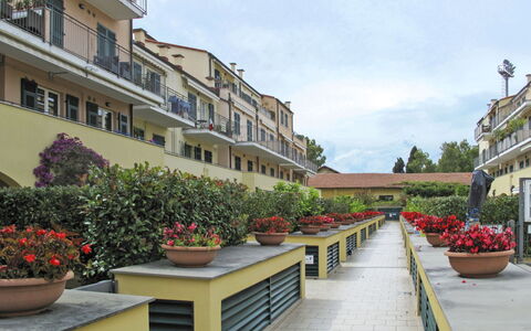 Cala Azzurra (Imp312): Flor, Planta, Cielo, Edificio, Propiedad, Maceta, Ventana, Nube, Planta De Casa, Diseño Urbano