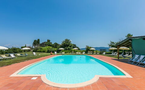 Pomarance 650: Agua, Cielo, Propiedad, Piscina, Azur, Planta, Árbol, Cuerpo De Agua, Sombra, Edificio