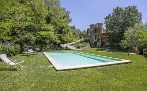 Florence 646: Planta, Cielo, Piscina, Sombra, Árbol, Rectángulo, Hierba, Arbusto, Diseño Urbano, Recreación