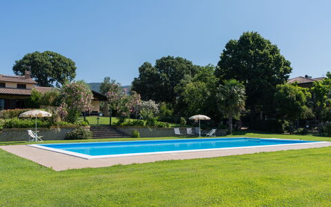 Lago di Bolsena 618: Planta, Cielo, Agua, Piscina, Azur, Árbol, Edificio, El Terreno Del Lote, Vegetación, Rectángulo