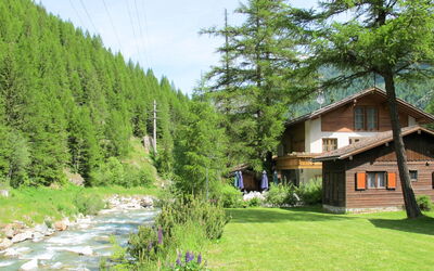 Saas-Balen 636: Naturaleza, Paisaje Natural, Verde, Propiedad, Casa, Árbol, Vegetación, Entorno Natural, Casa, Desierto