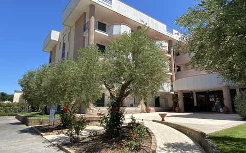 San Vincenzo 651: Planta, Edificio, Cielo, Propiedad, Tiempo De Día, Ventana, Árbol, Arquitectura, Diseño Urbano, Sombra