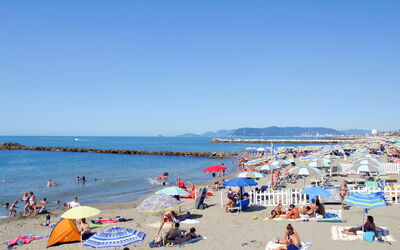 Marina di Massa 631