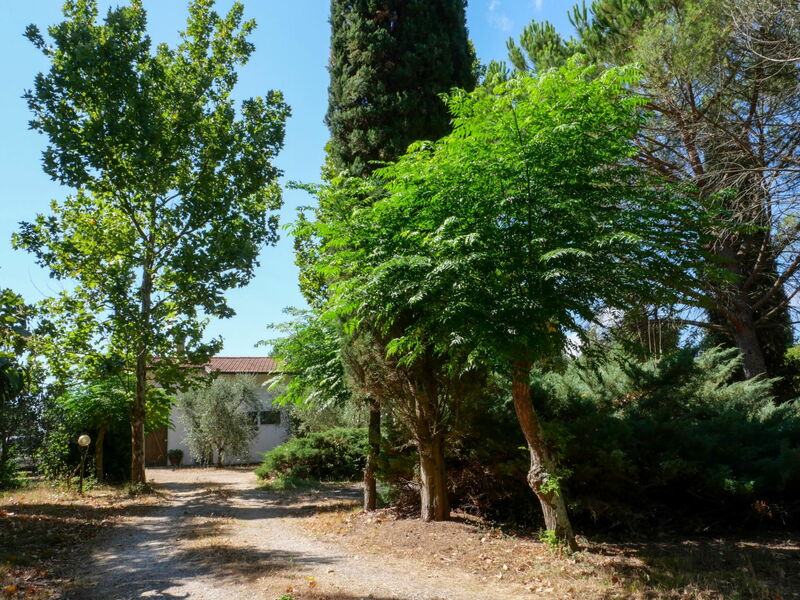 Calvello