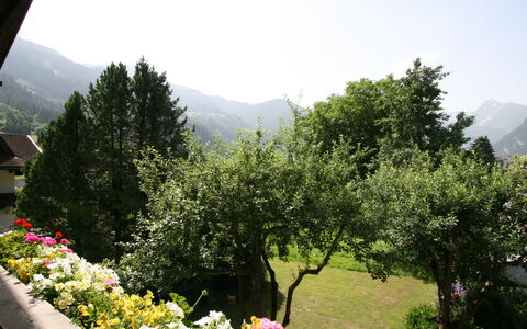 Klocker: Flor, Cielo, Planta, Planta De La Comunidad, Montaña, Verde, Paisaje Natural, Árbol, Hierba, Ocio