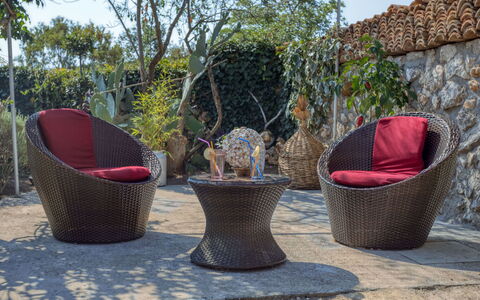 Maria: Mimbre, Maceta, Árbol, Botánica, Mueble, Planta, Silla, Ocio, Arbusto, Jardín