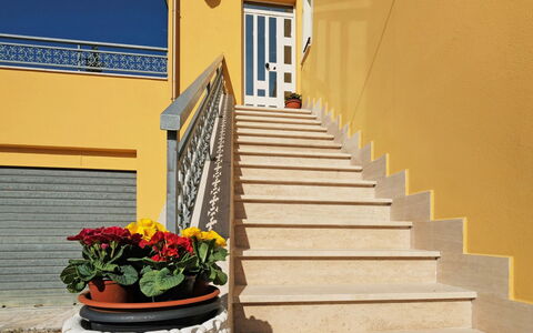Erika: Planta, Flor, Edificio, Propiedad, Escalera, Madera, Ventana, Naranja, Puerta