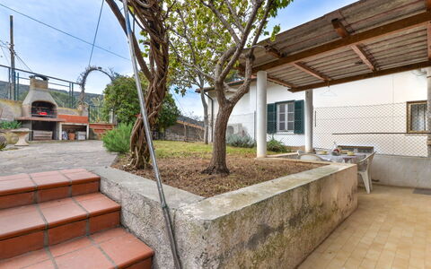 Al Tramonto: Planta, Cielo, Propiedad, Nube, Ventana, Edificio, Sombra, Árbol, Madera, Superficie De La Carretera