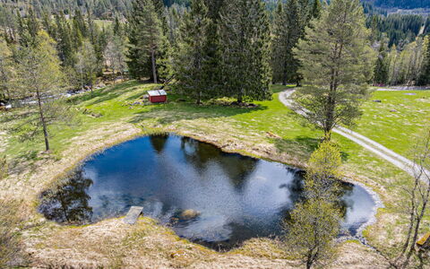 Fjellro: Árbol, Paisaje Natural, Paisaje, Tarn, Banco, Desierto, Bosque, Estanque, Reflexión, Alerce
