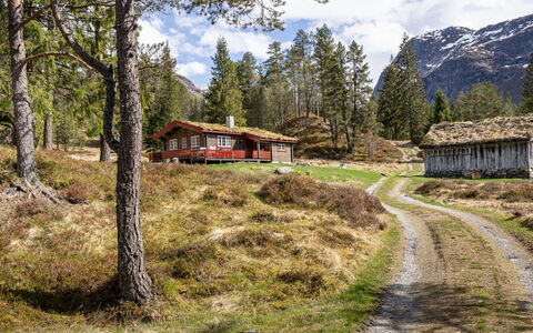Fjellbris: Hierba, Árbol, Accidentes Geográficos Montañosas, Montaña, Paisaje Natural, Casa, Tierras Altas, Paisaje, Cabaña