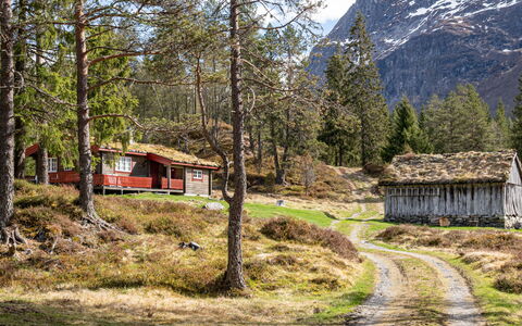 Fjellbris: Hierba, Accidentes Geográficos Montañosas, Montaña, Paisaje Natural, Casa, Tierras Altas, Colina, Cabaña, Paisaje