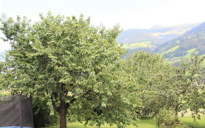 Fügen 336