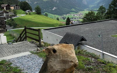 Chalet Murmeli