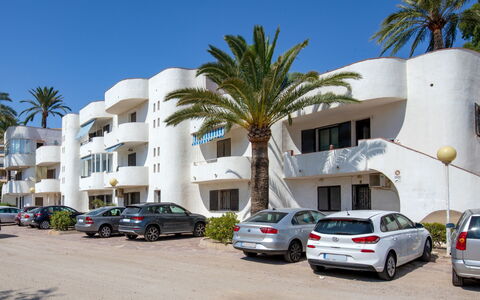 Albaranas: Coche, Cielo, Rueda, Vehículo, Propiedad, Edificio, Planta, Árbol