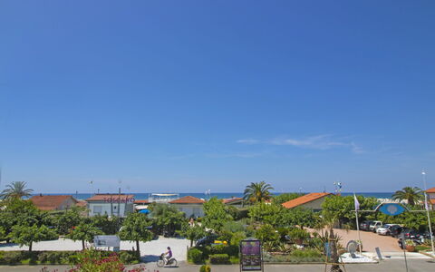 Sandra: Cielo, Planta, Árbol, Diseño Urbano, Arecales, Asfalto, Nube, Superficie De La Carretera, Barrio Residencial, Ocio