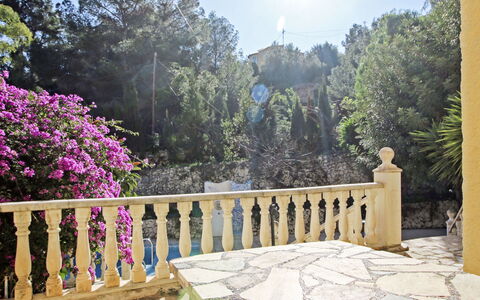 Richelieu: Flor, Cielo, Planta, Propiedad, Naturaleza, Árbol, Botánica, Encendiendo, Cerca, Arquitectura