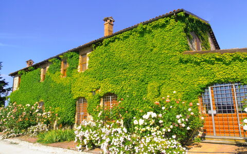 Villa Venanzo: Propiedad, Casa, Verde, Vegetación, Pared, Edificio, Cabaña, Arbusto, Planta, Área Rural
