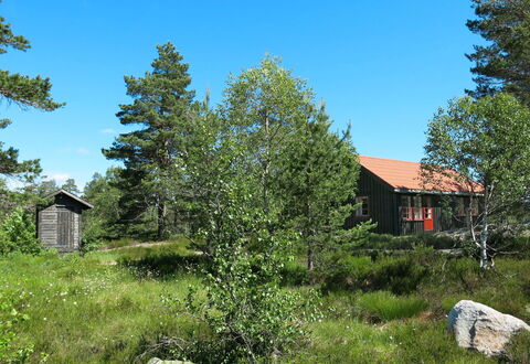 Førevanns Hytta: Cielo, Planta, Propiedad, Hoja, Árbol, Paisaje Natural, Alerce, El Terreno Del Lote, Vegetación, Casa
