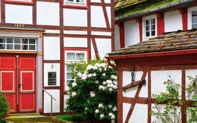 Schwalenberg 100