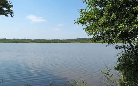 Maroye: Cielo, Edificio, Planta, Diseño Urbano, Bloque De Pisos, Condominio, Bienes Raíces, Ciudad, Fachada, Edificio Comercial