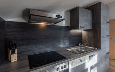 Alojamiento:&nbsp;Alpenchalets 678.4