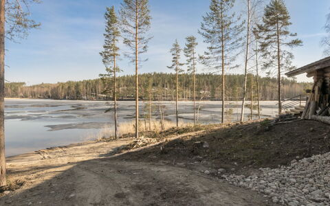 Villa Moose: Madera, Paisaje, Banco, Bosque, El Maletero, Apuntalar, Bosque, Alerce